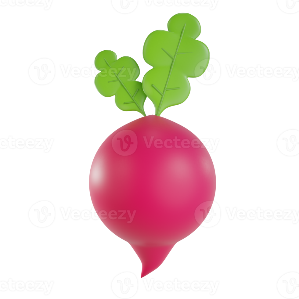3d render radish object with transparent background png