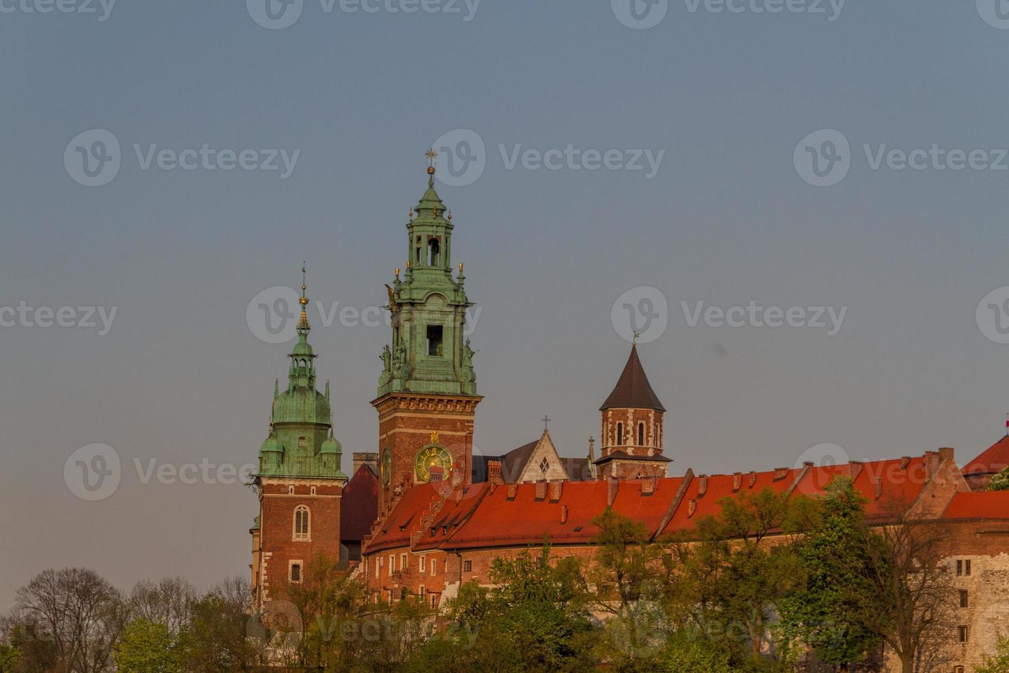Royal castle in Wawel, Krarow photo
