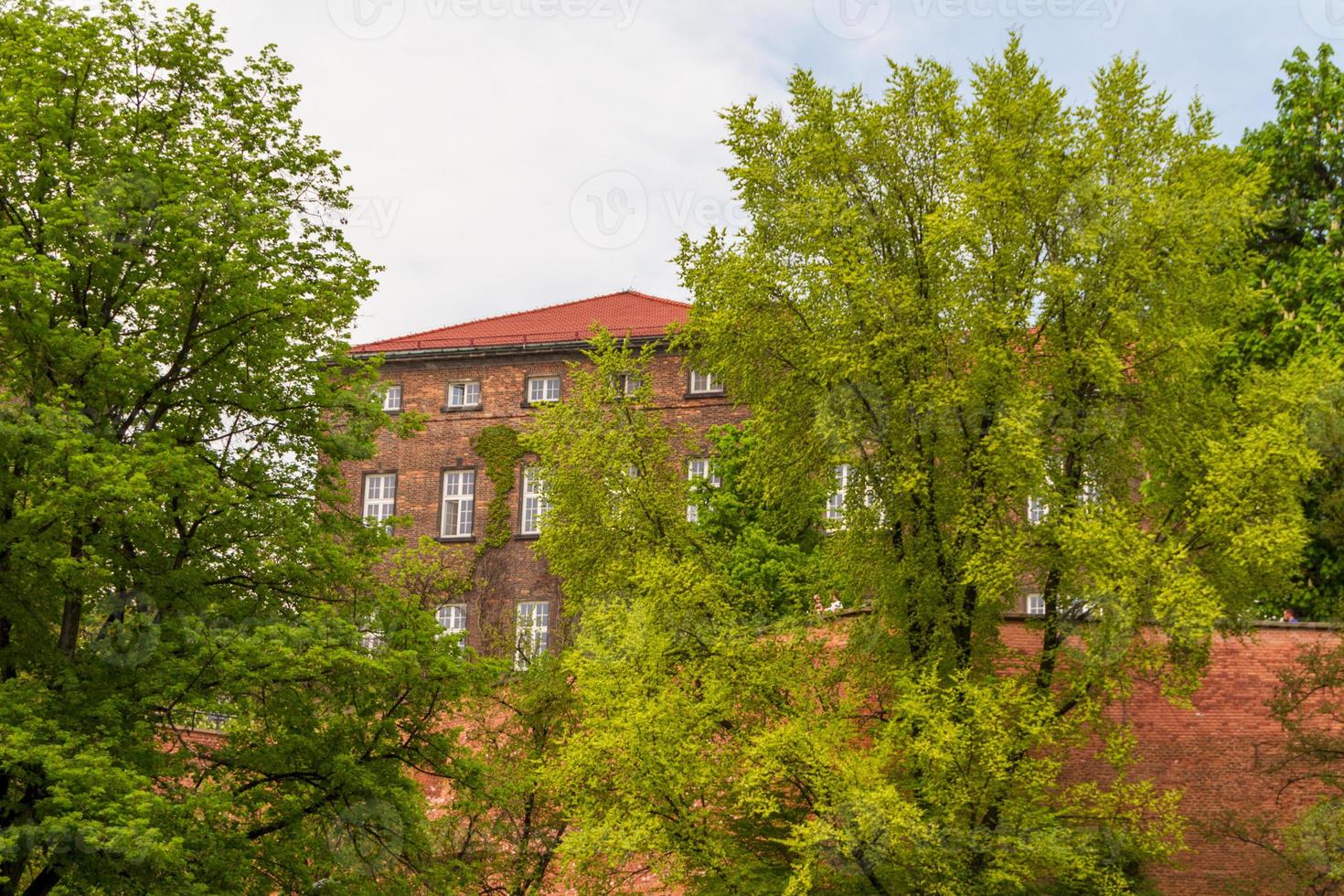 Royal castle in Wawel, Krakow photo