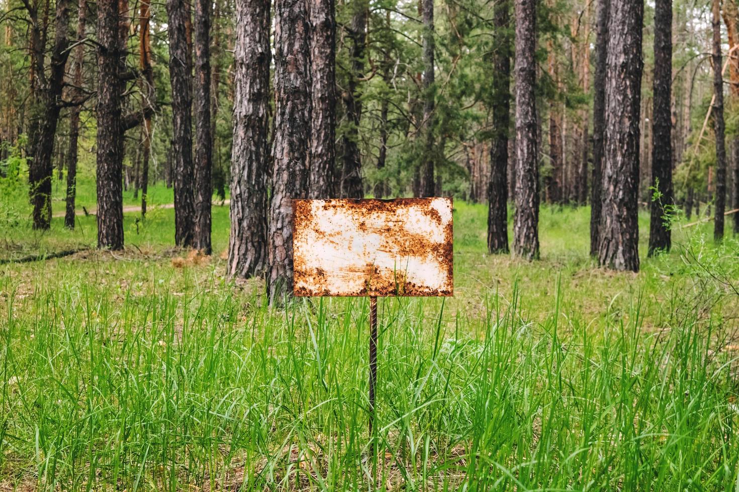 señal de advertencia en el bosque. foto