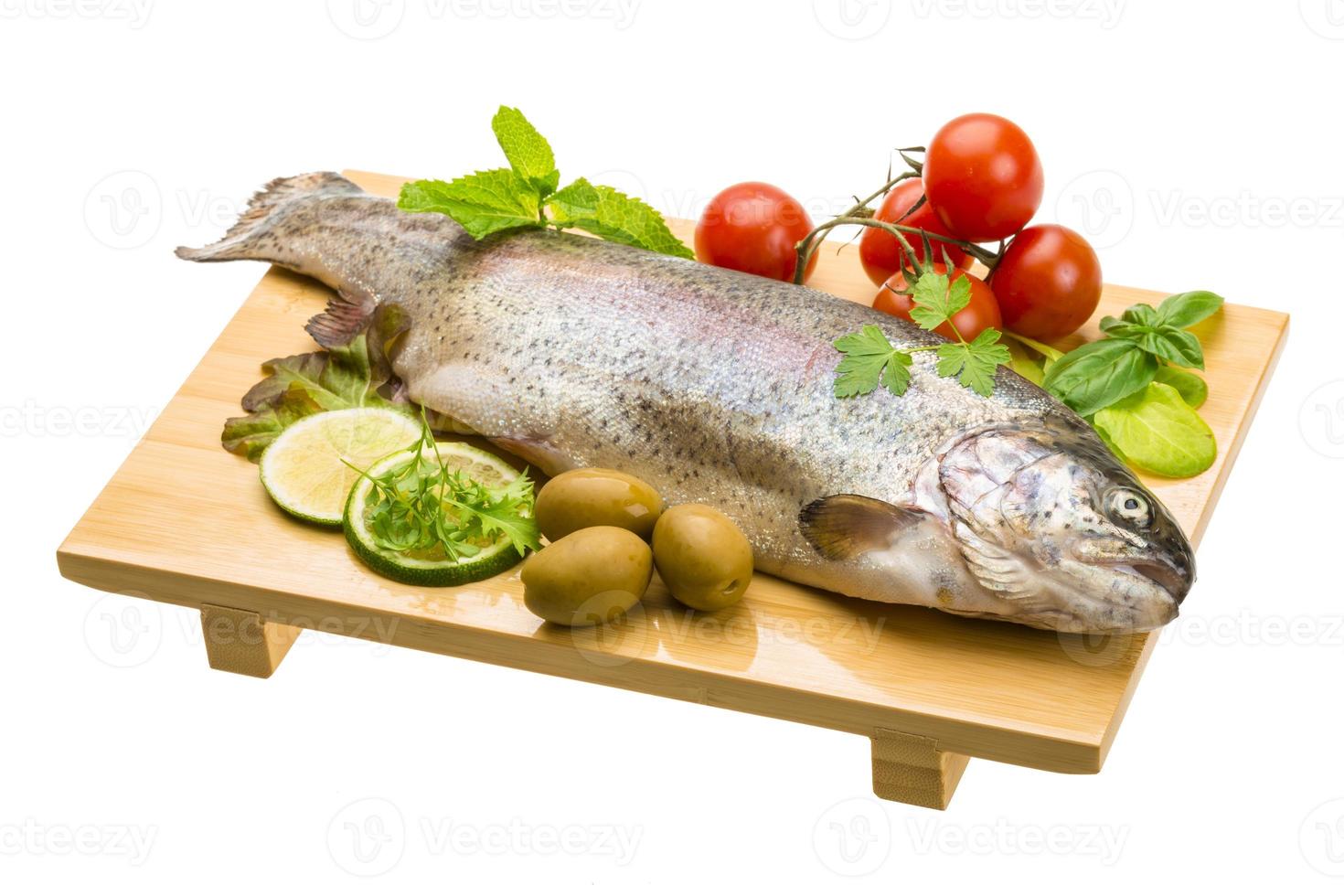 Fresh raw rainbow trout photo