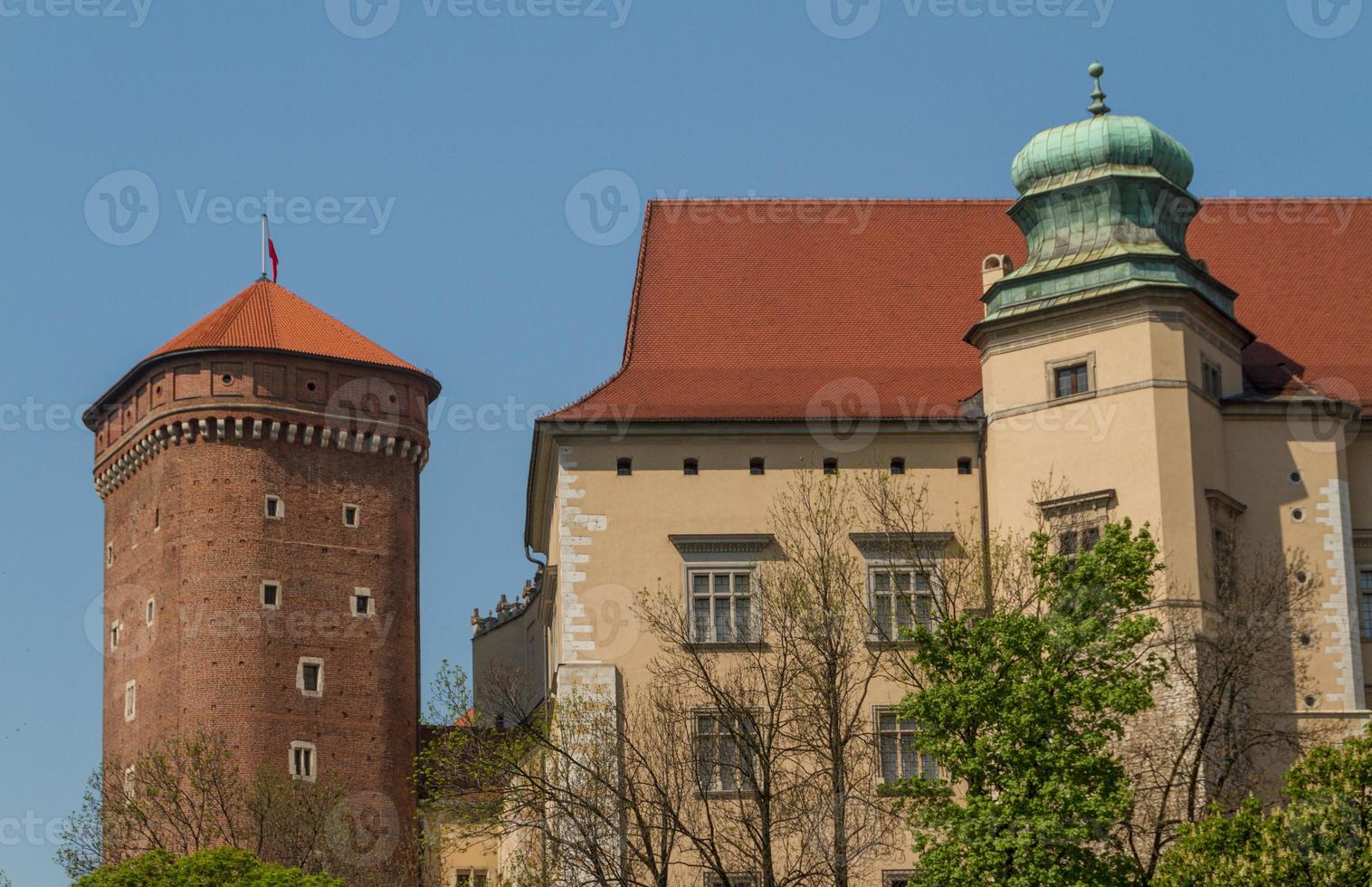 Royal castle in Wawel, Krakow photo
