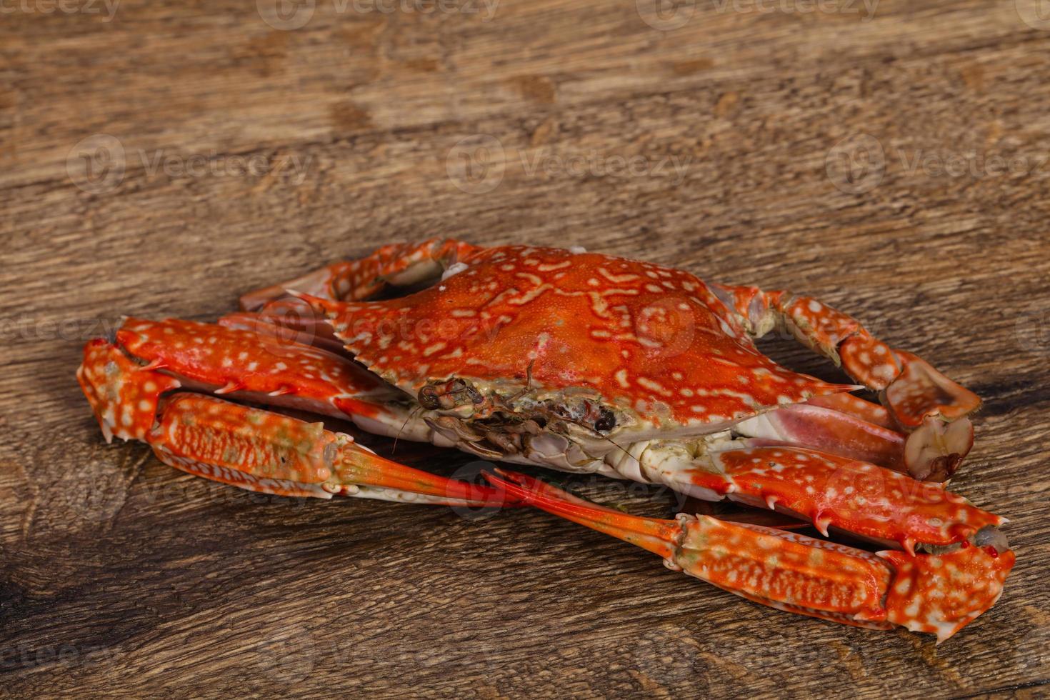 Boiled crab - ready for eat photo