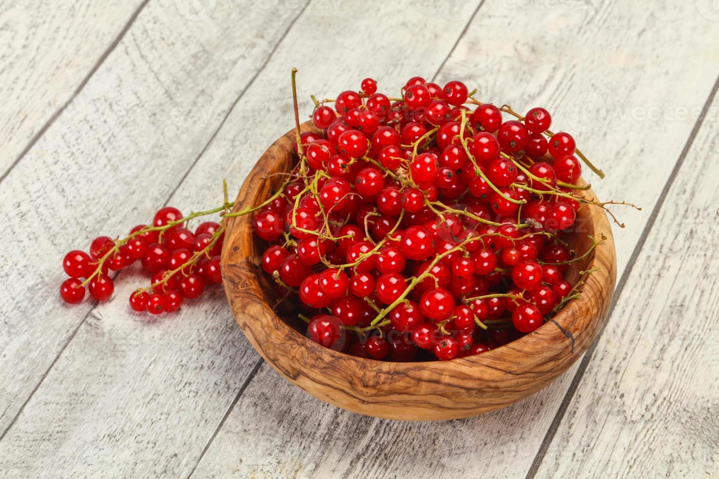 Sweet tasty fresh Red currant photo