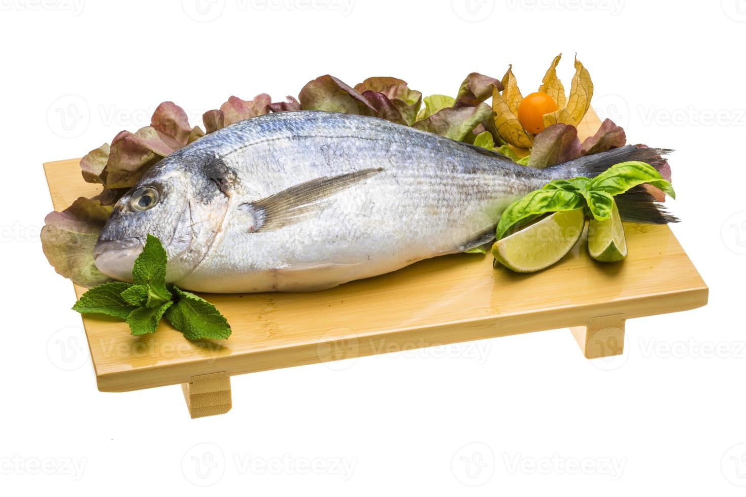 Fresh raw dorada photo