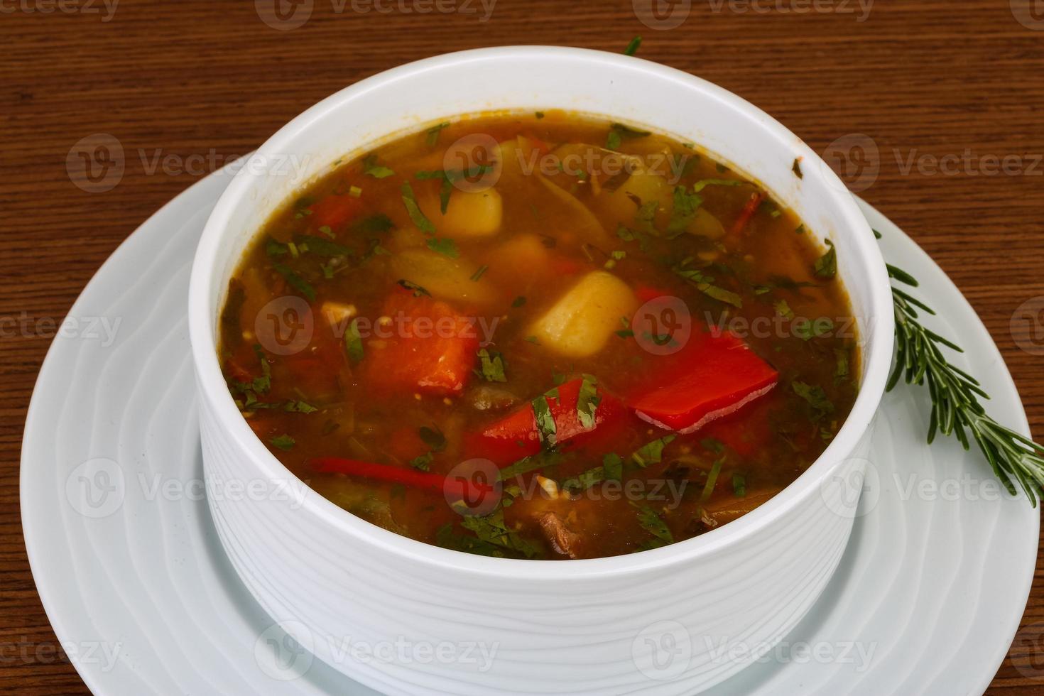 Caucasian soup - chanakhi photo