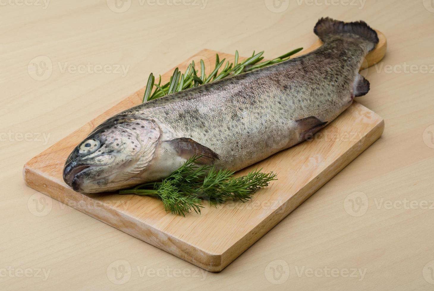 Raw fresh trout photo