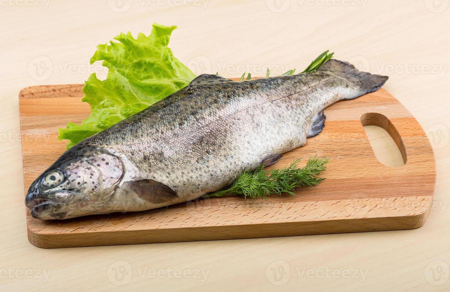 Raw fresh trout photo