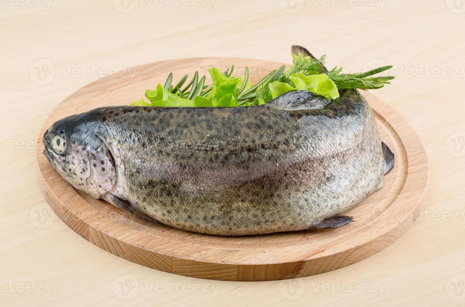 Raw fresh trout photo