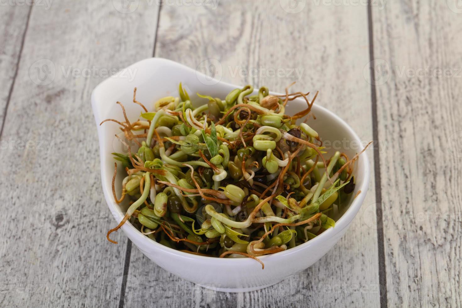 Mash bean sprout photo