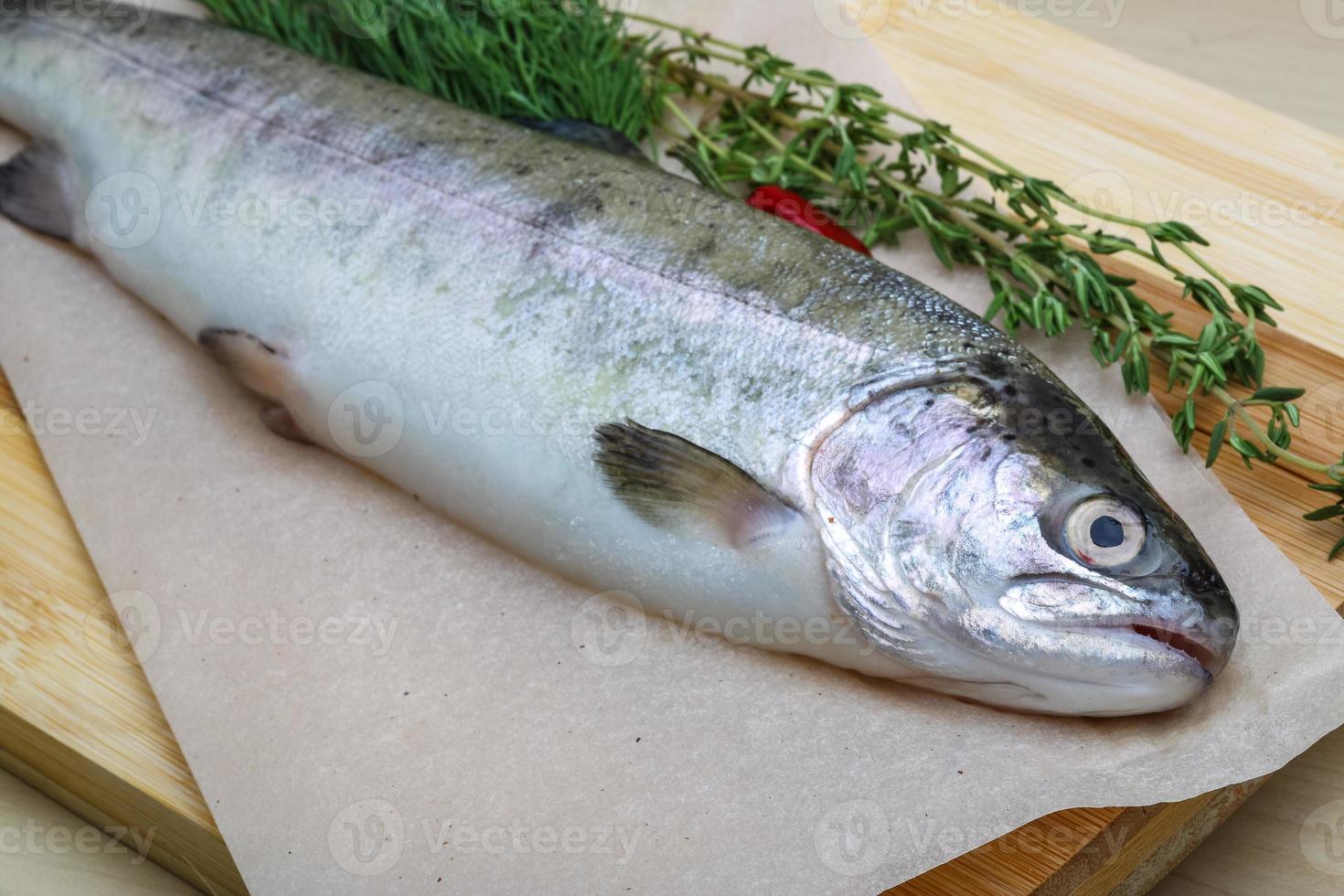 Raw trout on a board photo