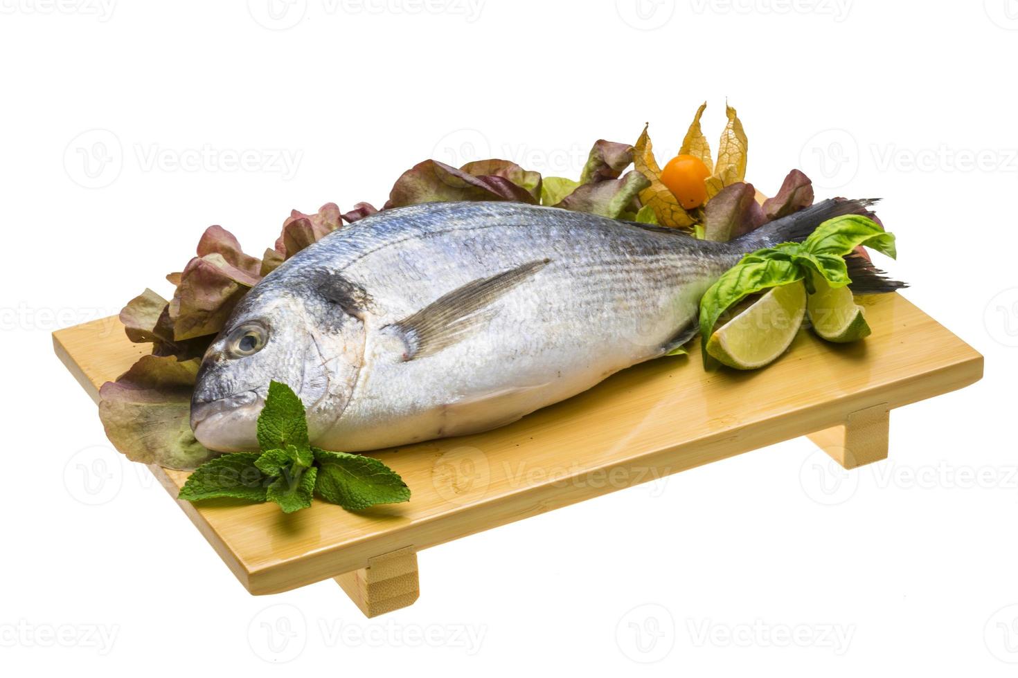 Fresh raw dorada photo