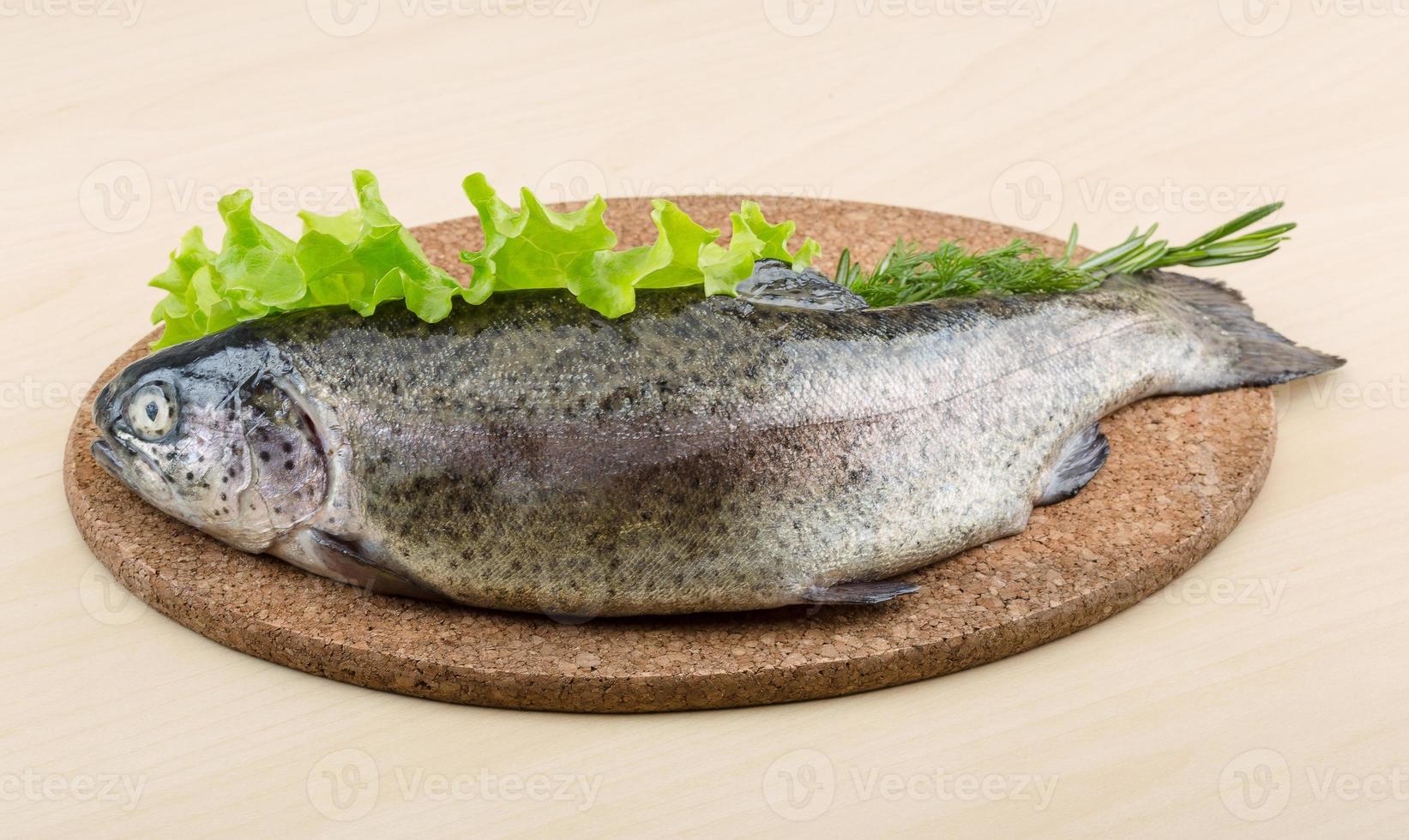 Raw fresh trout photo