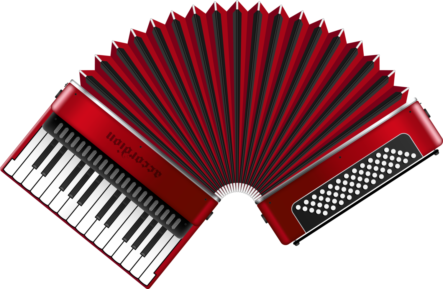 Realistic accordion png illustration isolated on white background