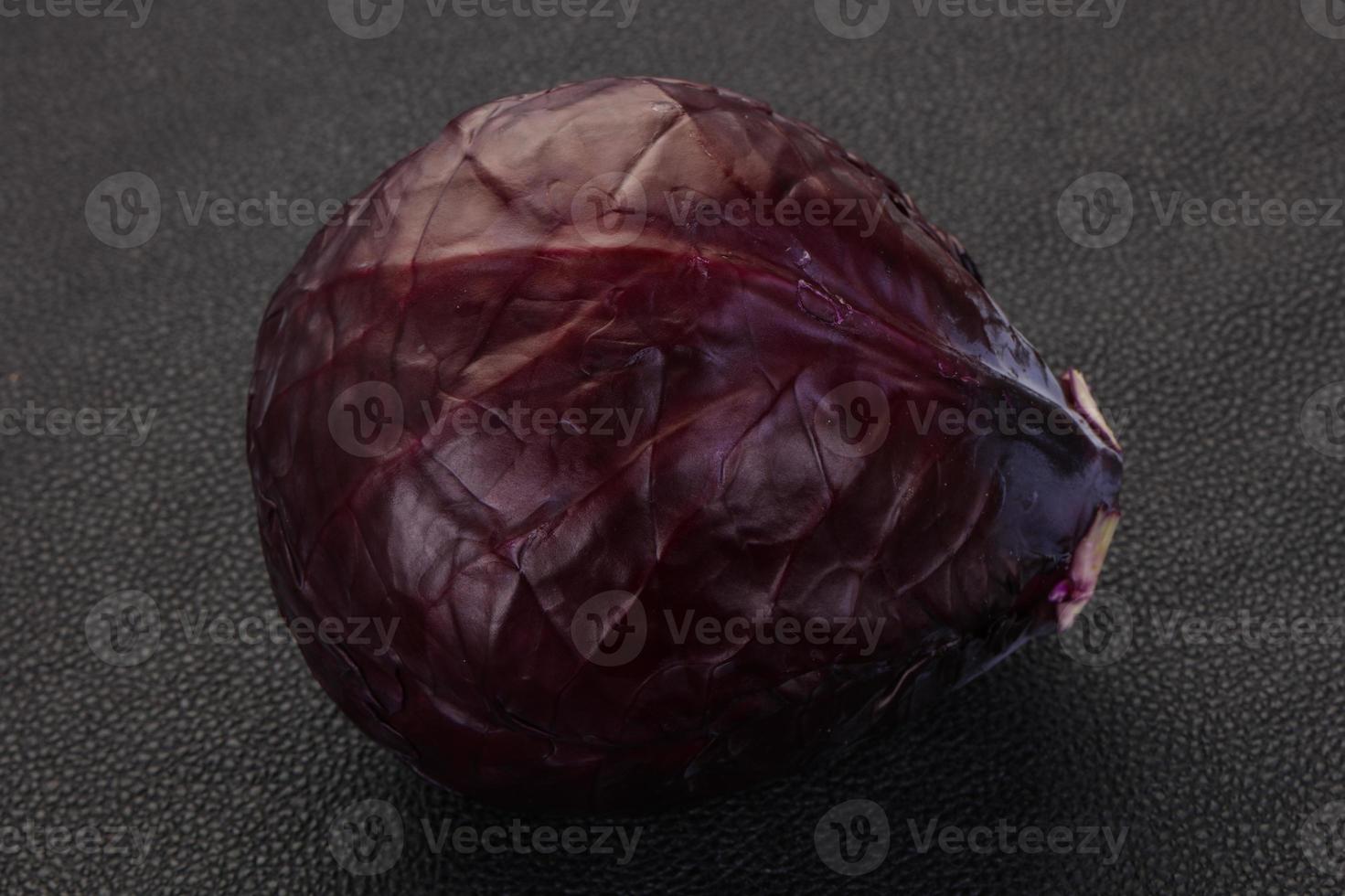 Red bright cabbage photo