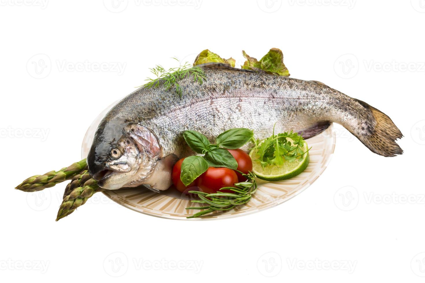 Fresh raw rainbow trout photo