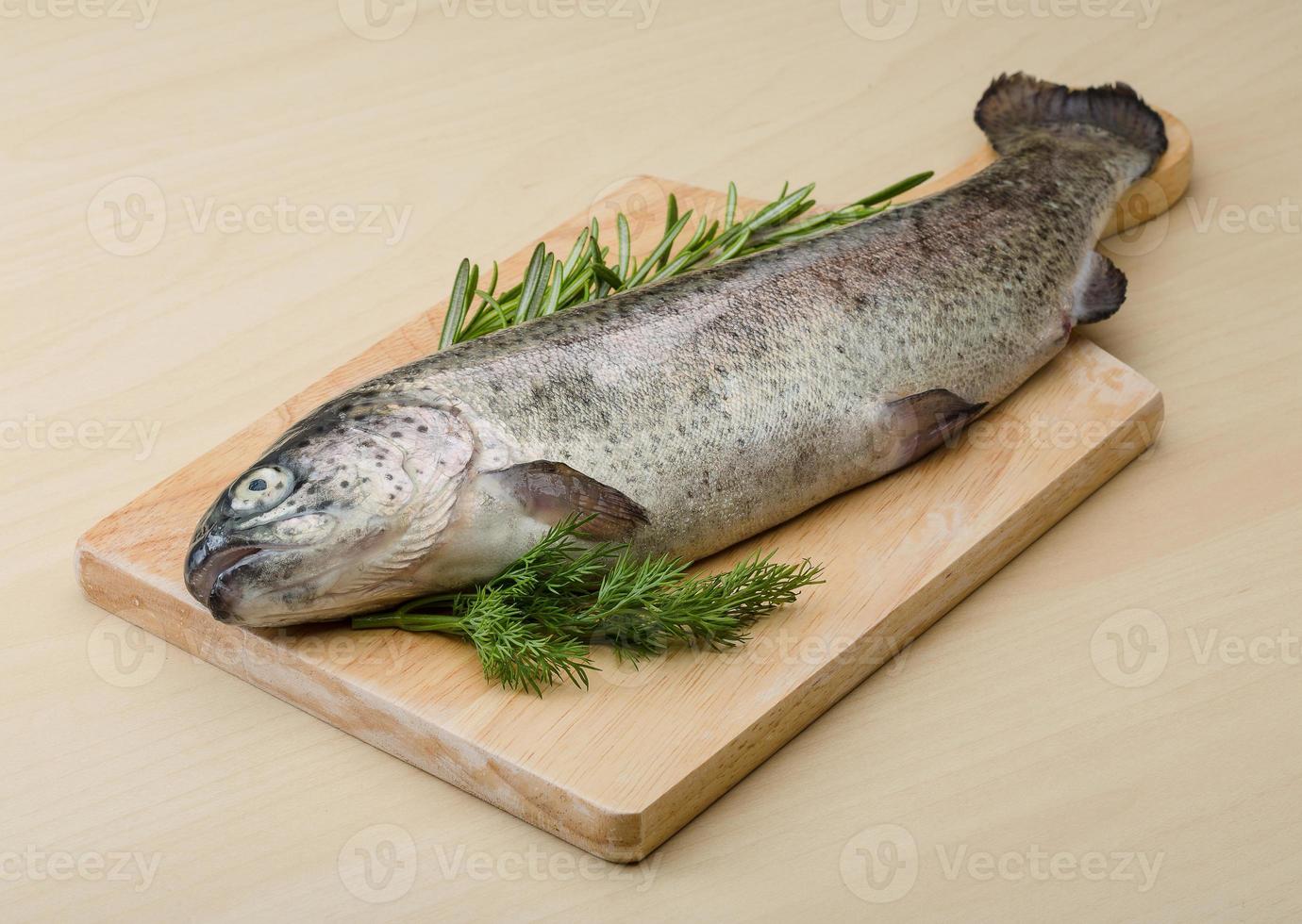 Raw fresh trout photo