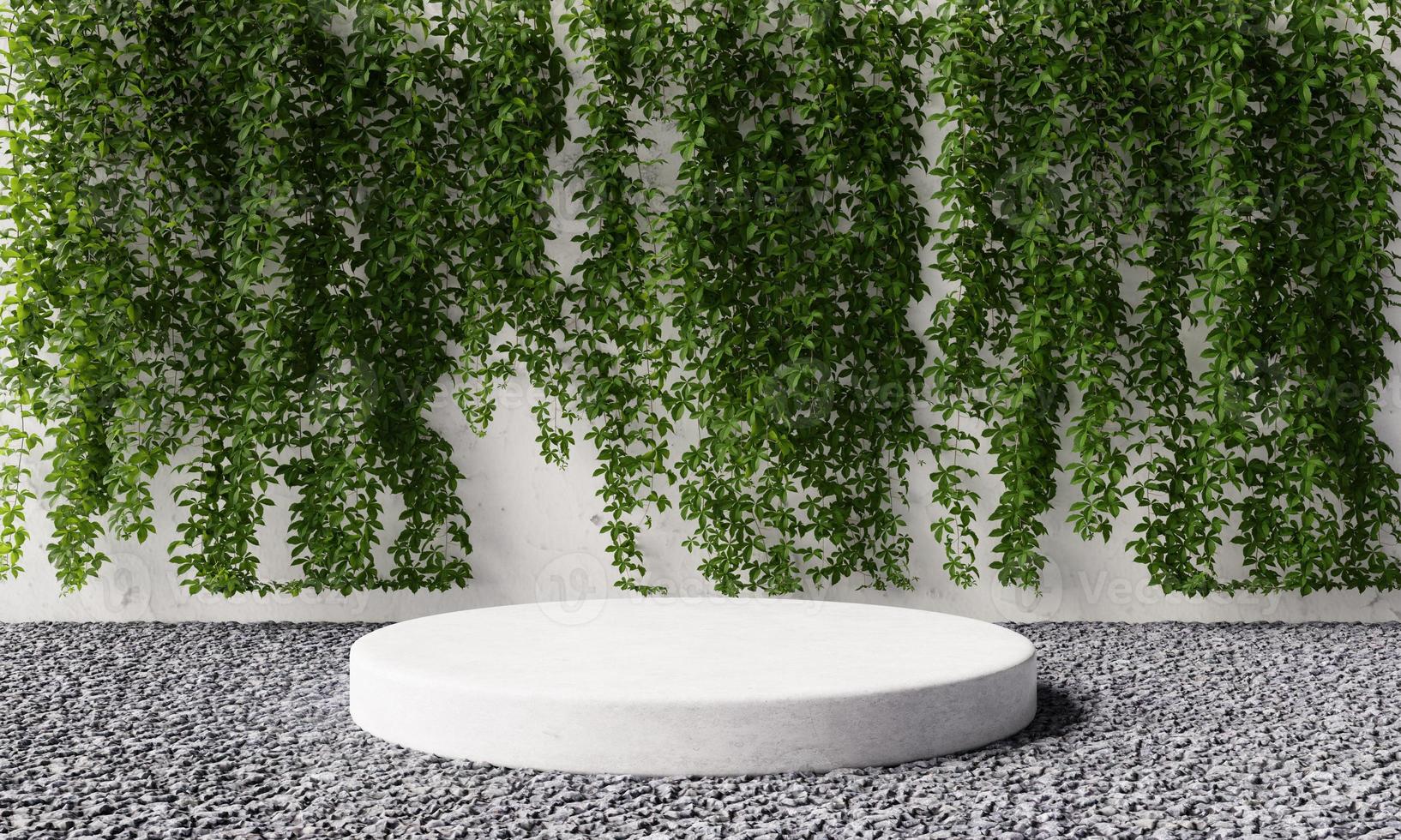 Round cylinder product stone podium in backyard garden with vine Virginia creeper on white concrete wall background. Exterior nature and architecture concept. 3D illustration rendering photo
