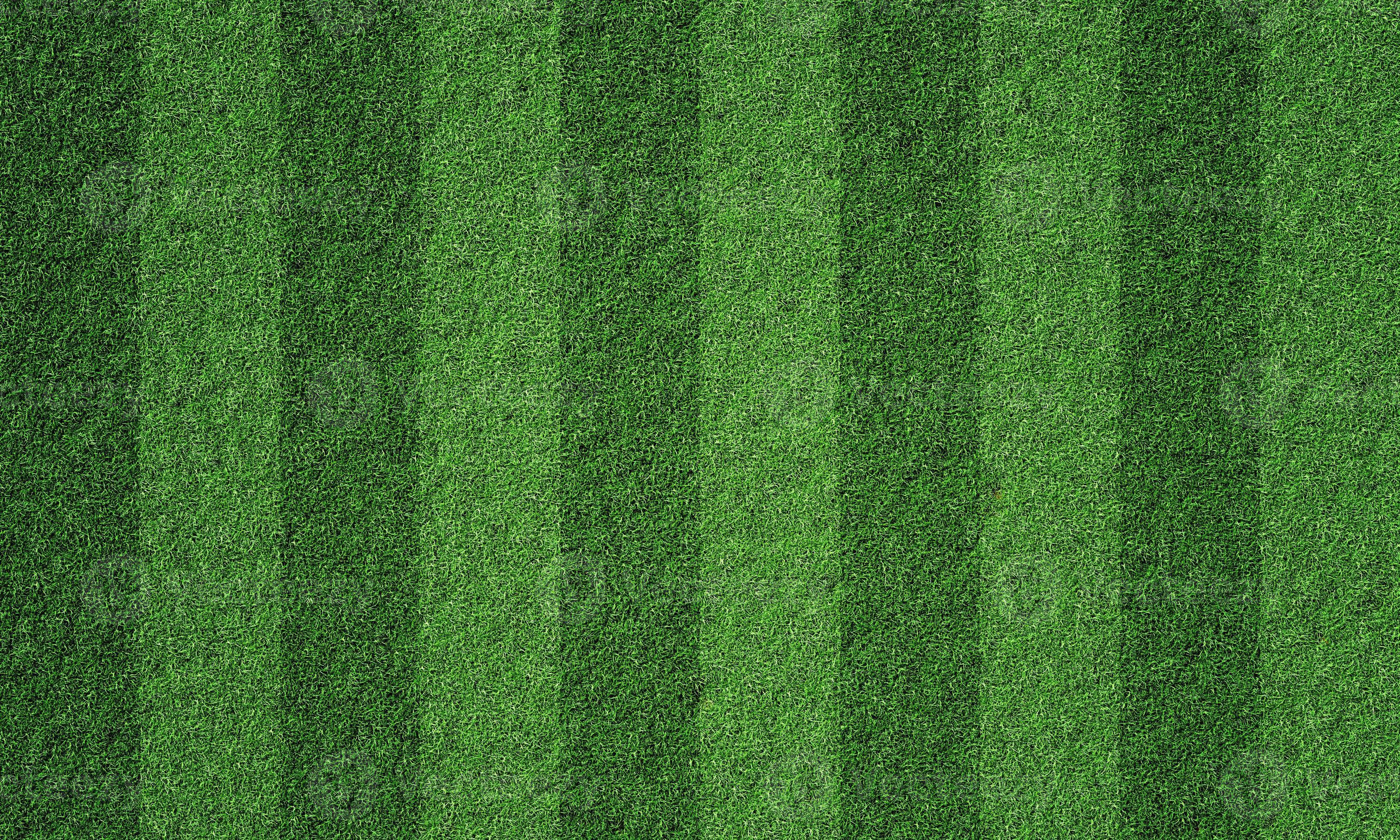 Soccer field in football stadium with line grass pattern. Sport background  and athletic wallpaper concept. 3D illustration rendering 8502424 Stock  Photo at Vecteezy