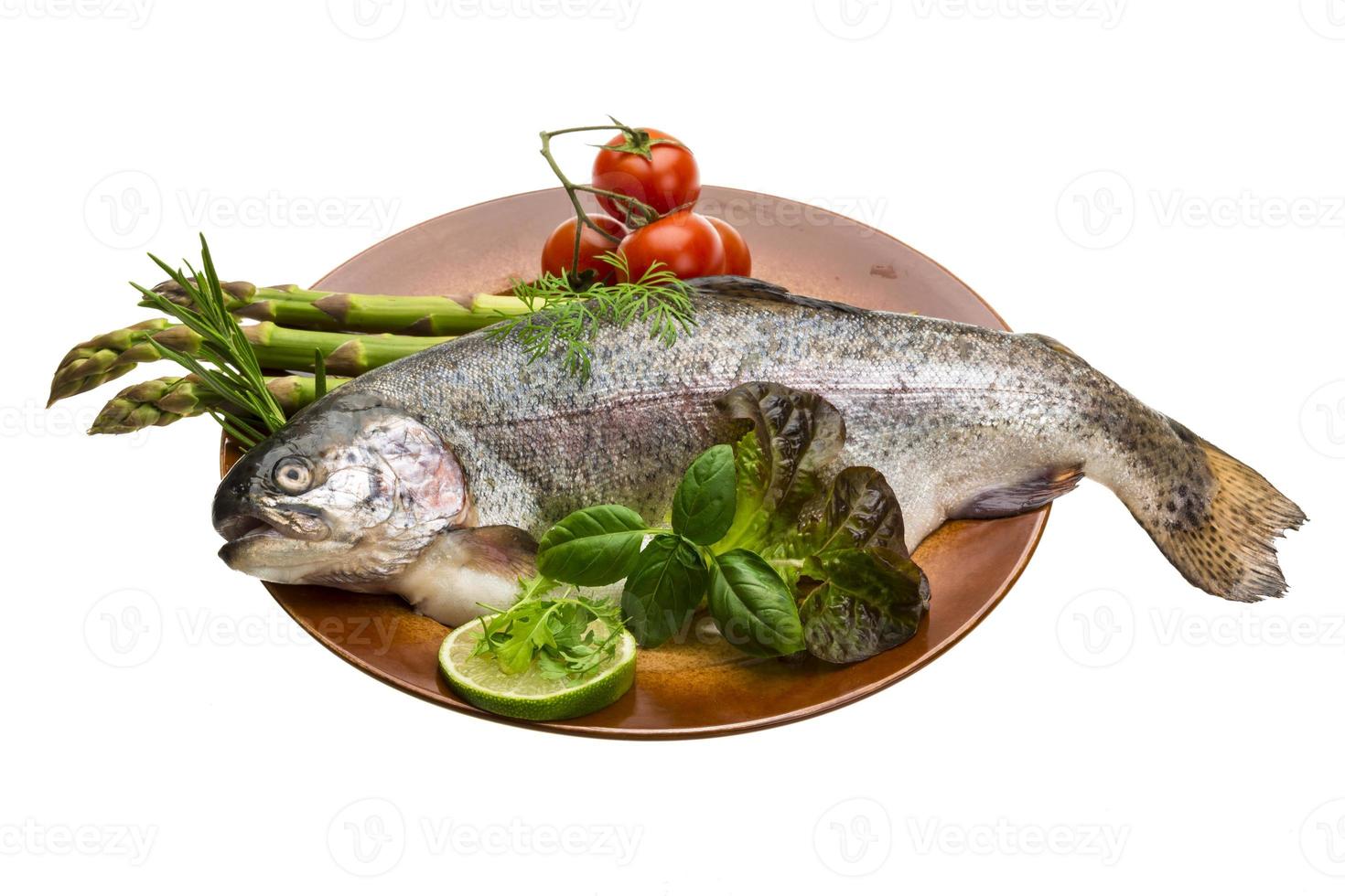 Fresh raw rainbow trout photo