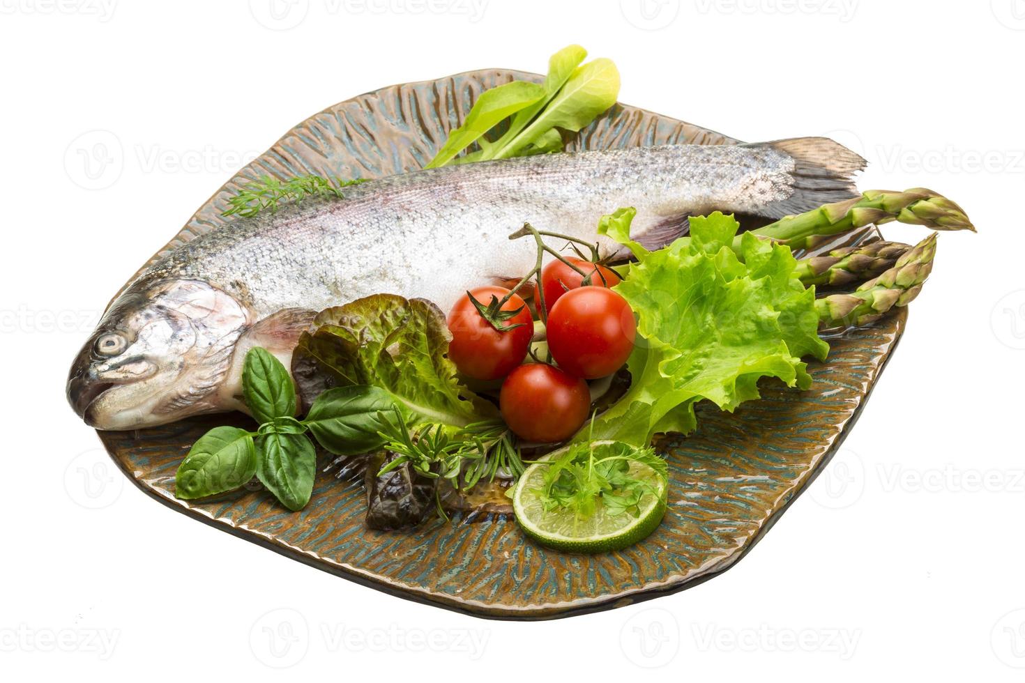 Fresh raw rainbow trout photo