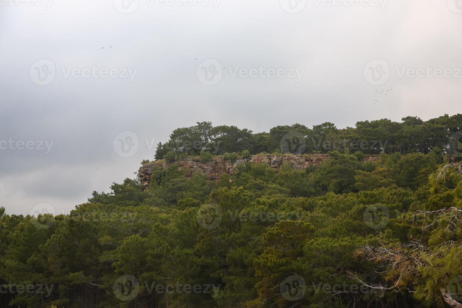 Phaselis ruins in Turkey photo