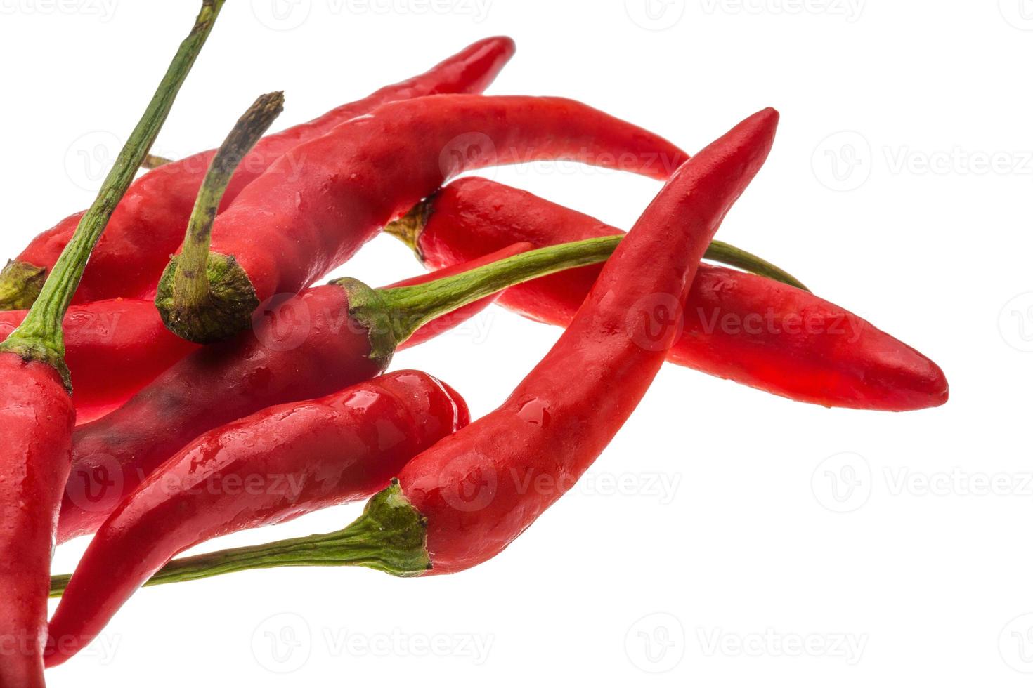 Red Chili pepper photo