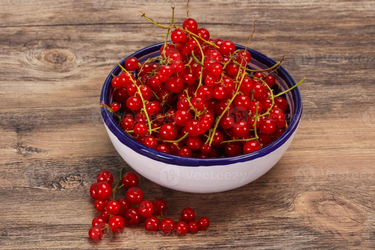 Sweet tasty fresh Red currant photo