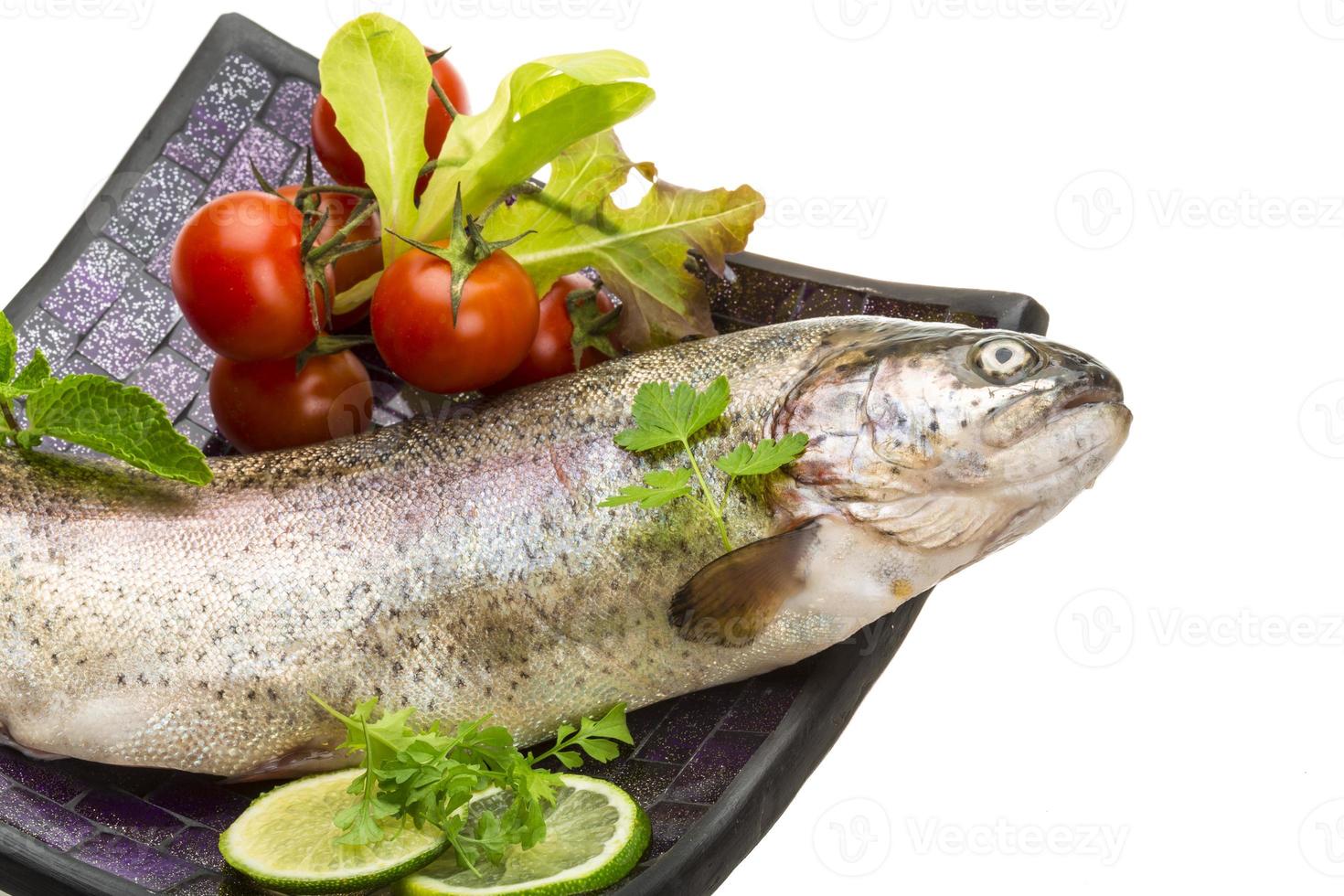 Fresh raw rainbow trout photo