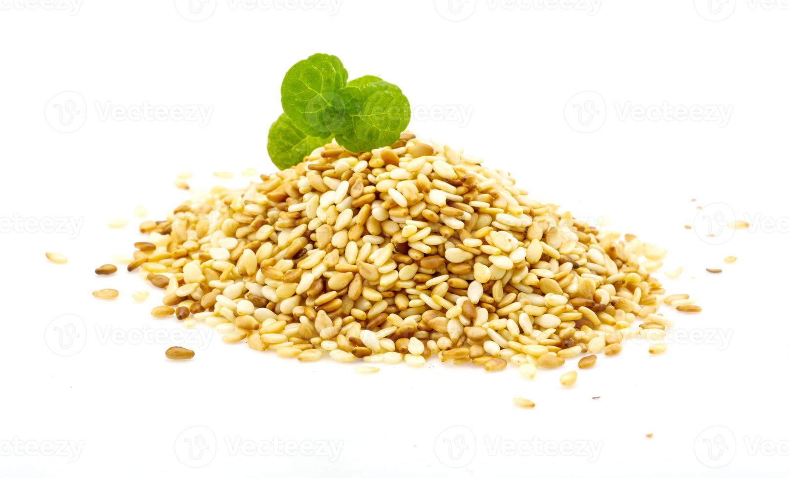 Roasted sesame seeds photo