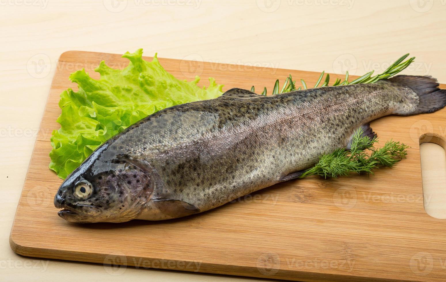 Raw fresh trout photo