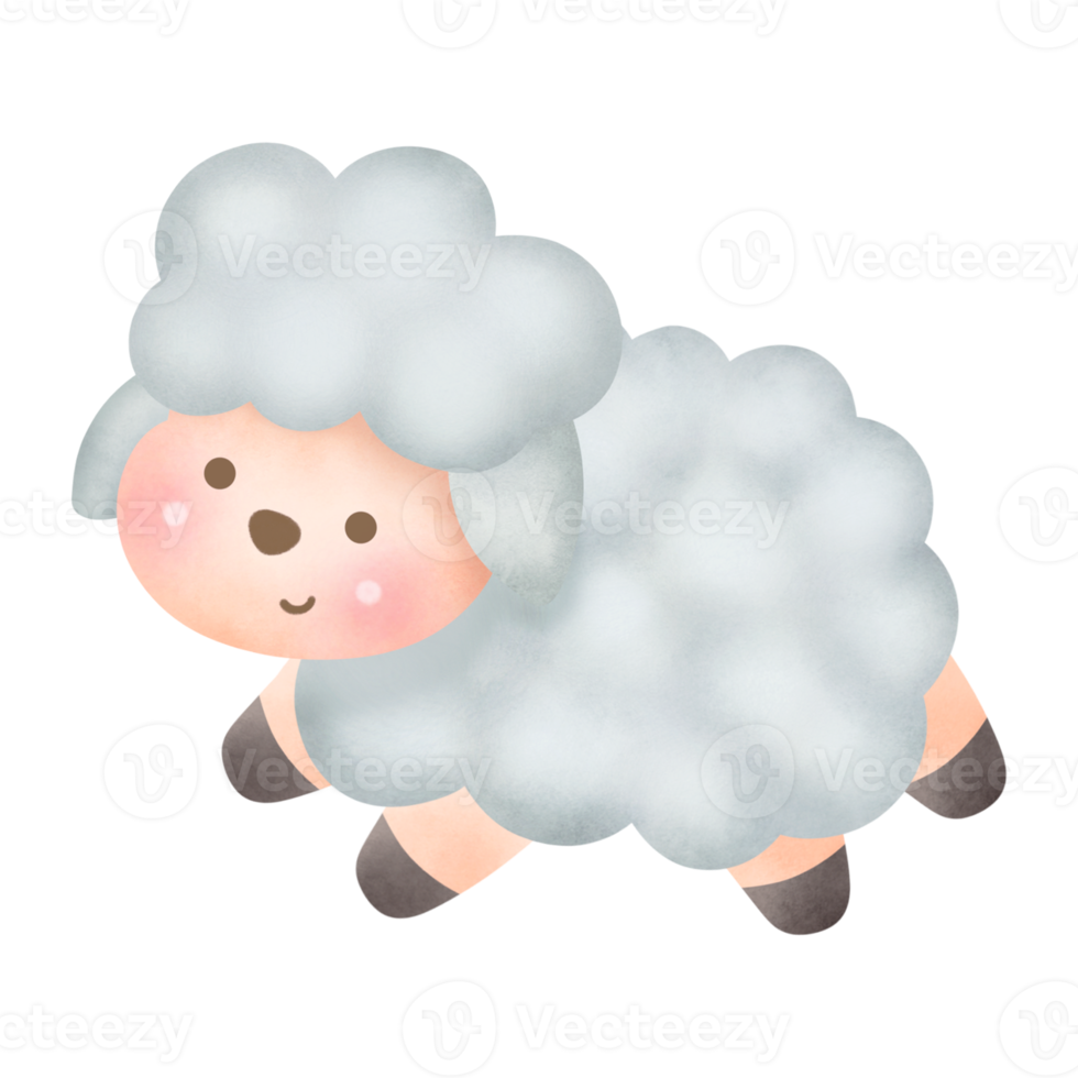 watercolor cute sheep png