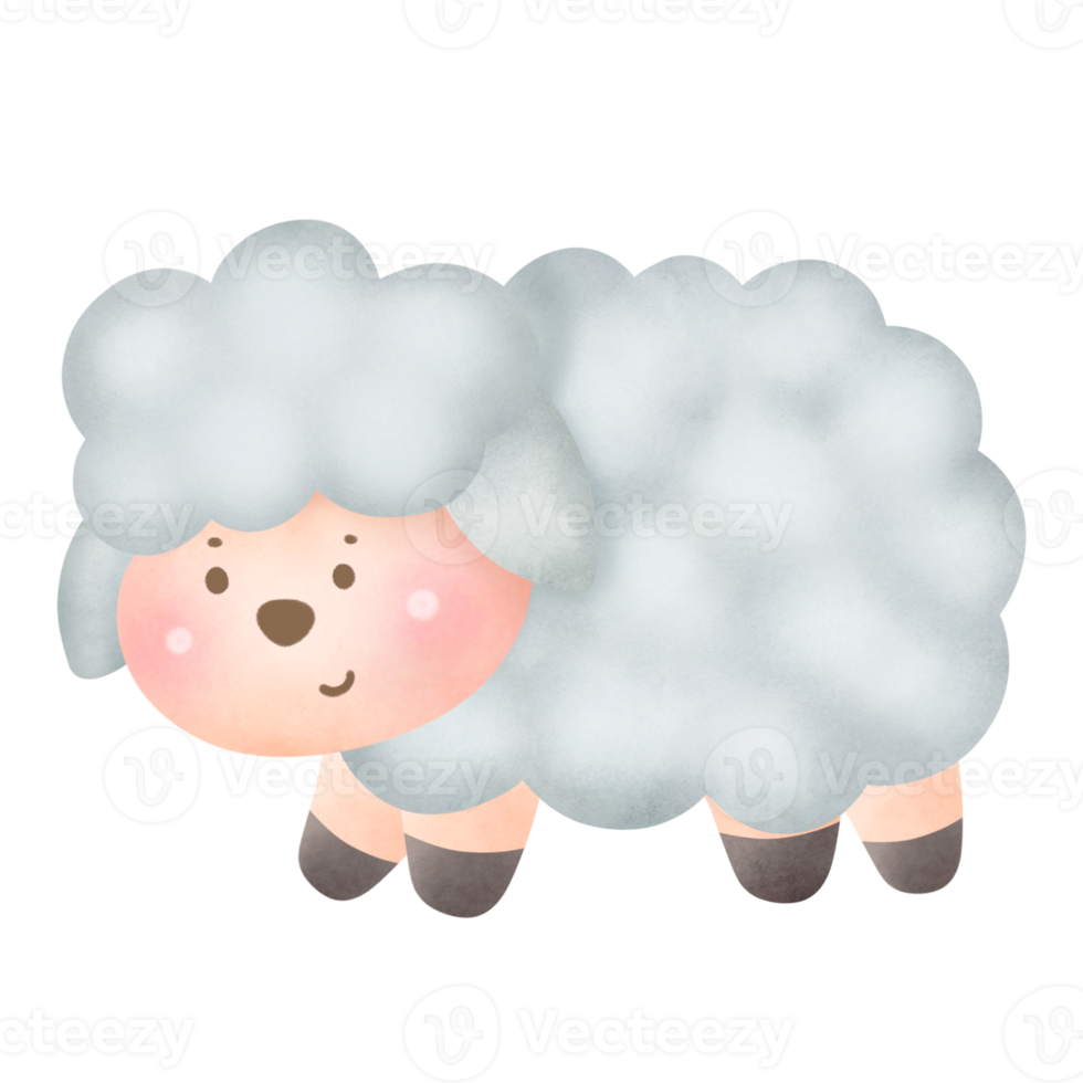 Watercolor cute sheep png