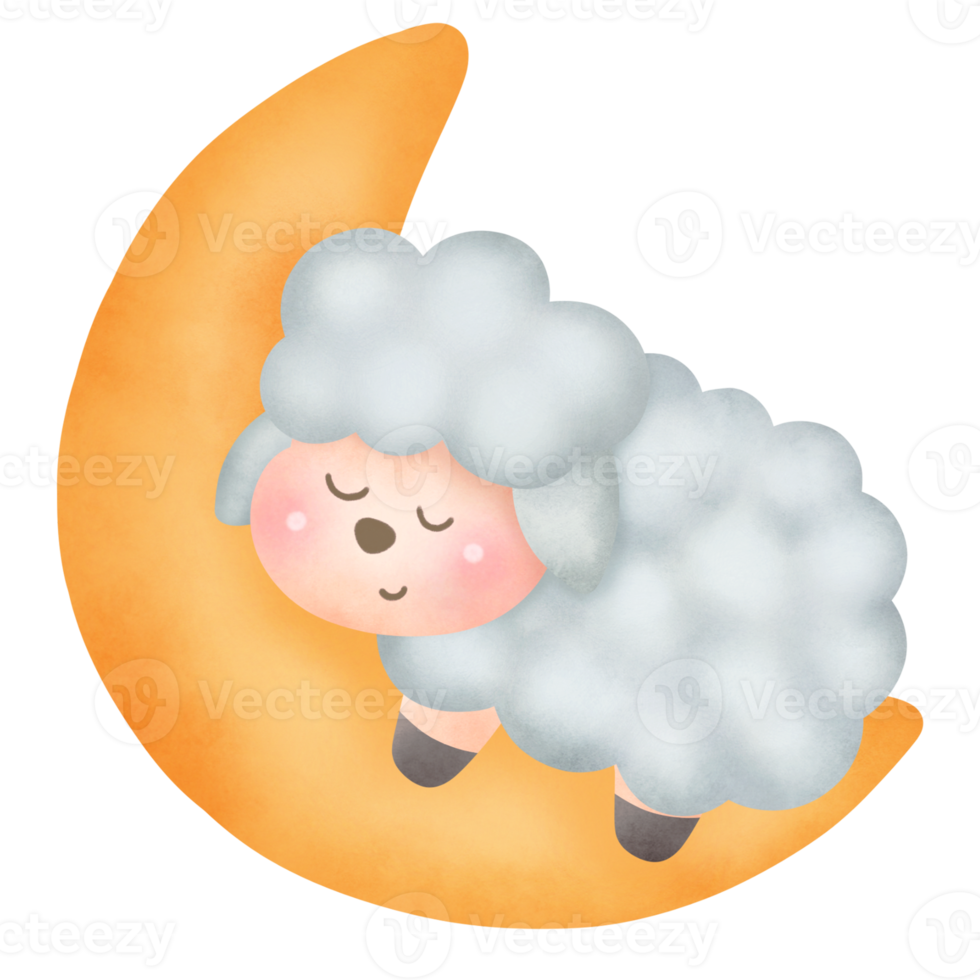 watercolor cute sheep png