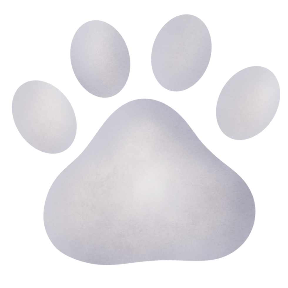 clipart di pegno di gatto png