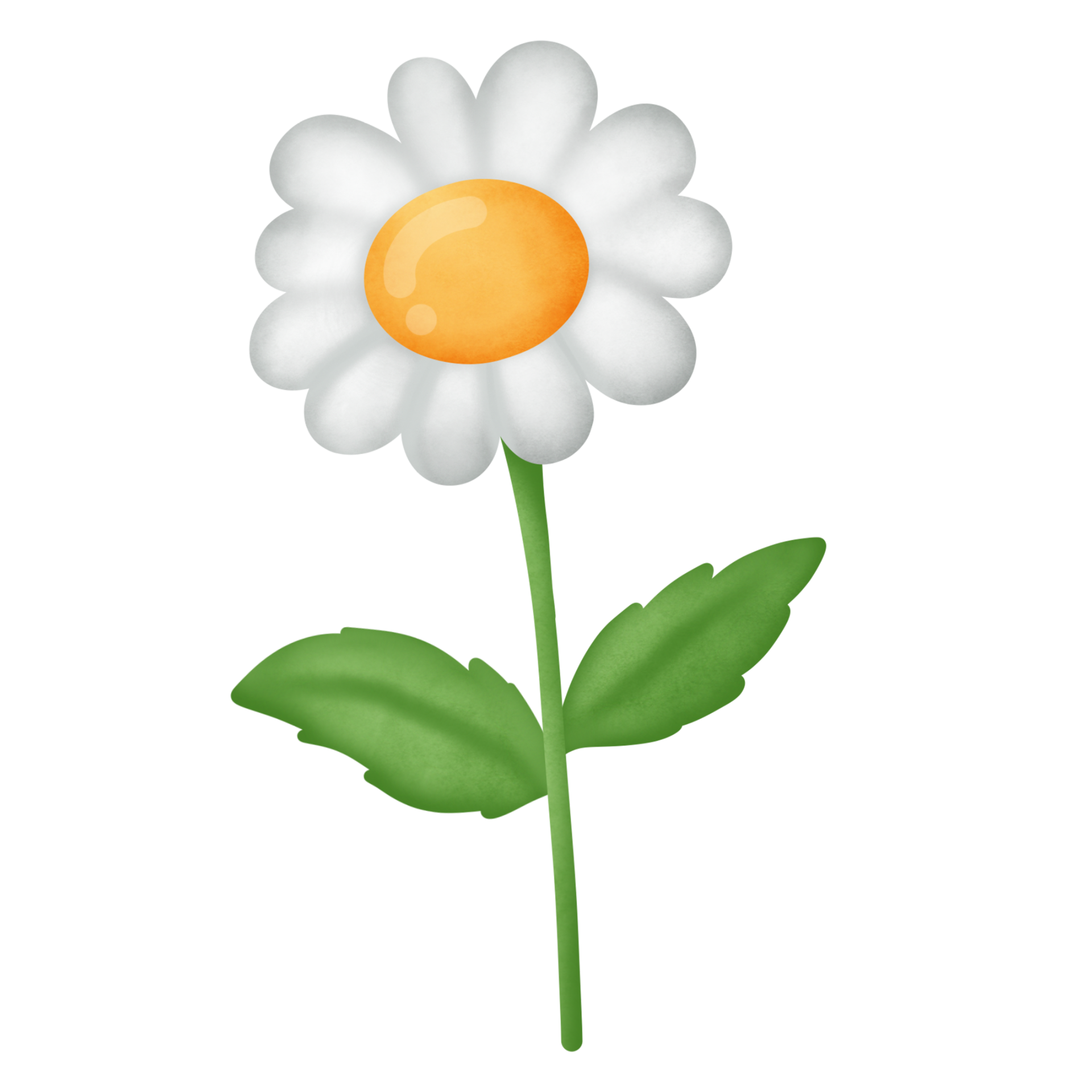 Free Daisy flower clipart 8505482 PNG with Transparent Background