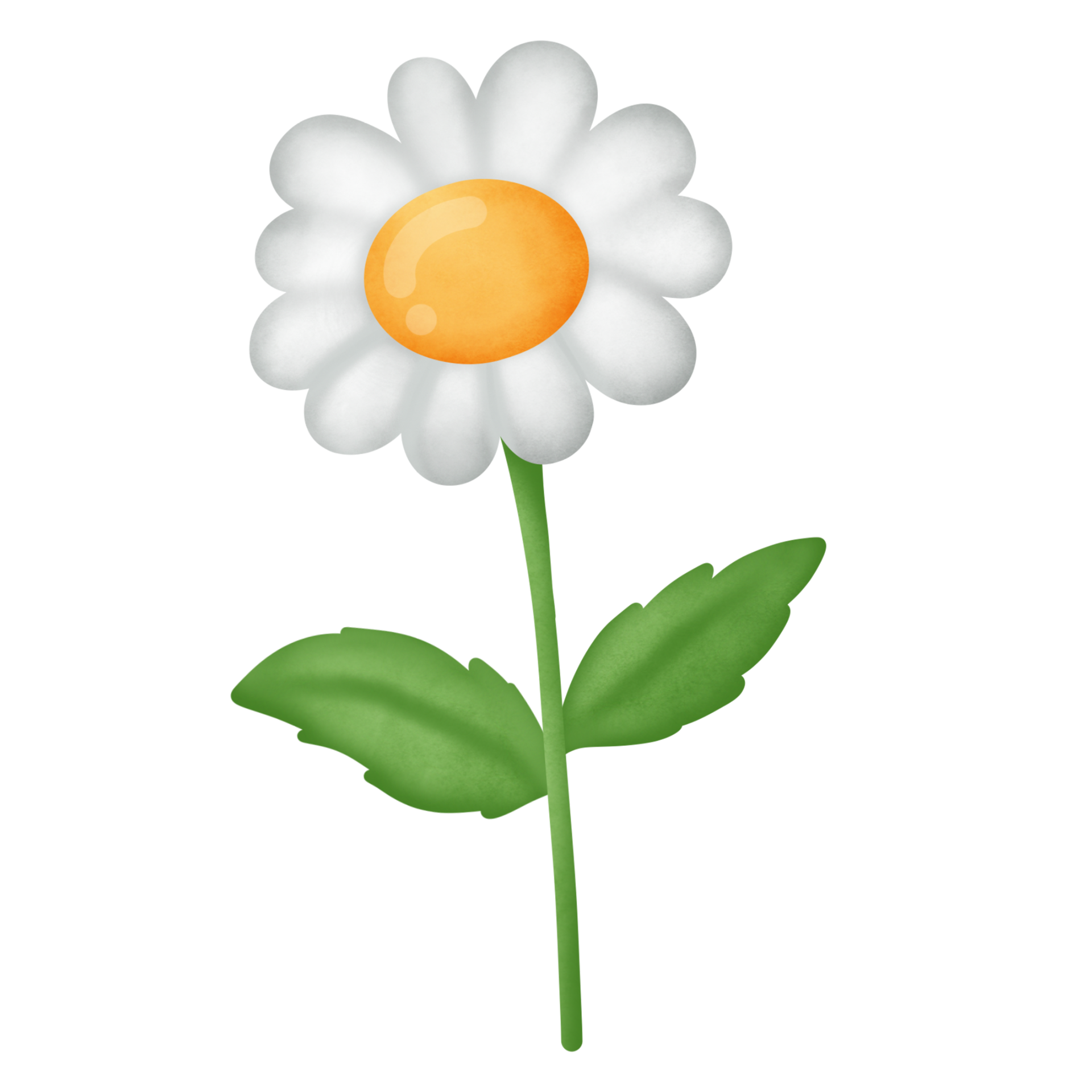 Daisy flower clipart 8505482 PNG