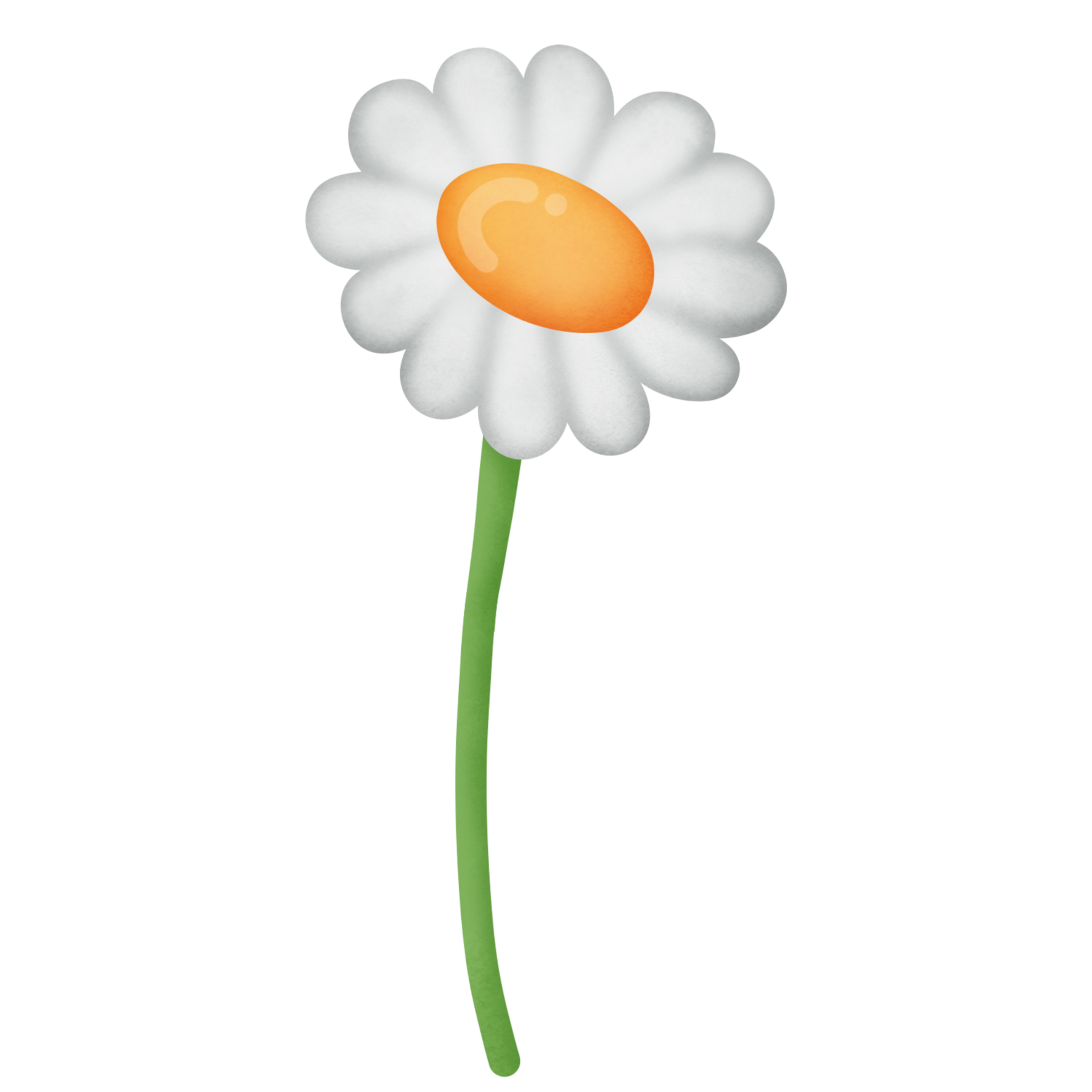 Free Daisy flower clipart 8505483 PNG with Transparent Background
