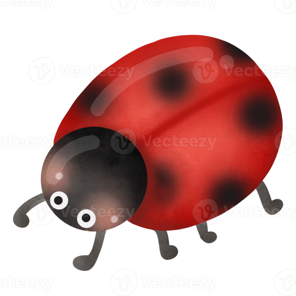 Cute cartoon lady bug png