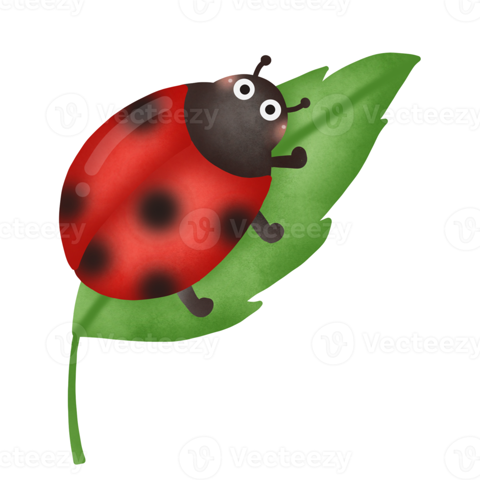 Cute cartoon lady bug png