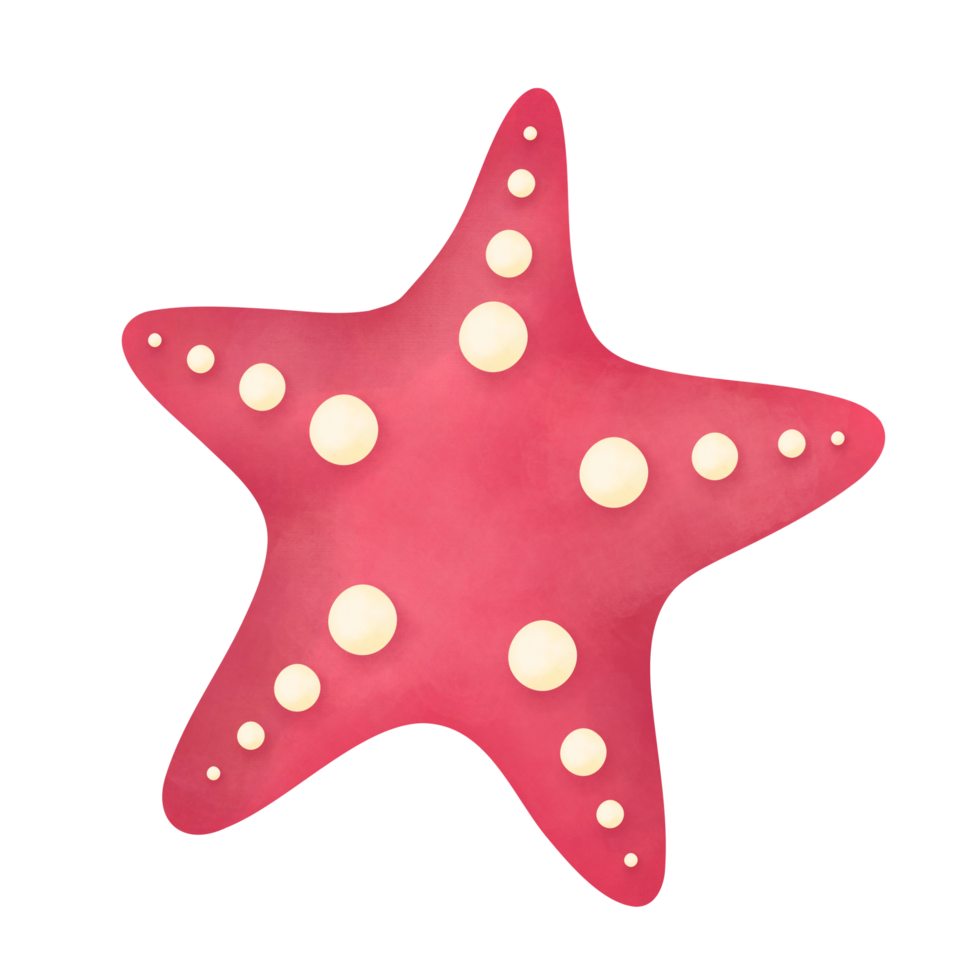 ilustração em aquarela estrela do mar png