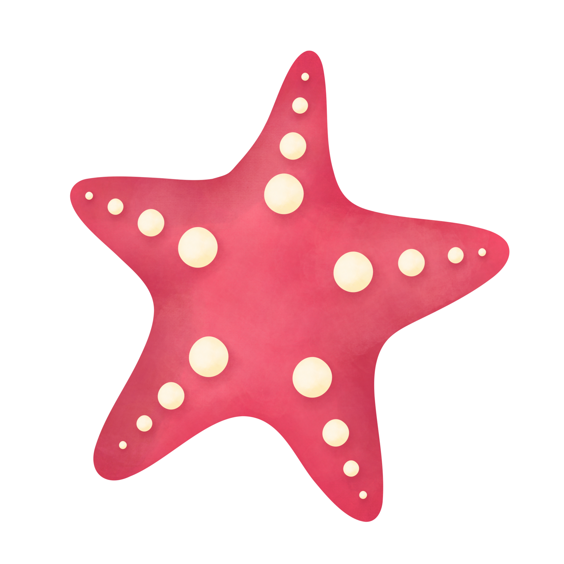 Starfish watercolor illustration 8505557 PNG