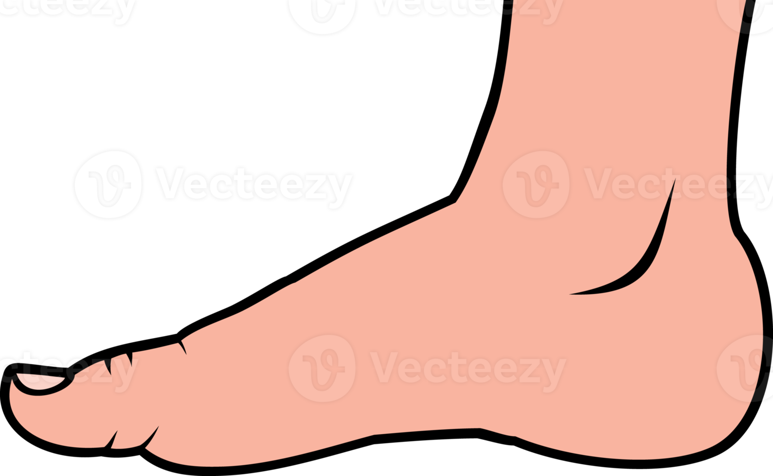 Human foot standing png illustration