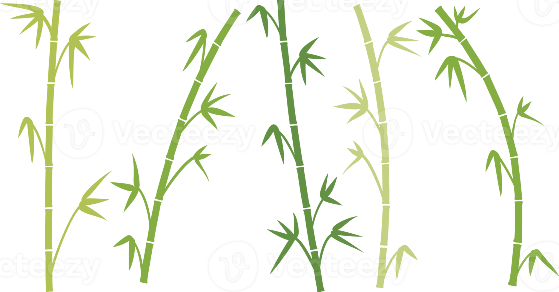 Green bamboo stems png illustration