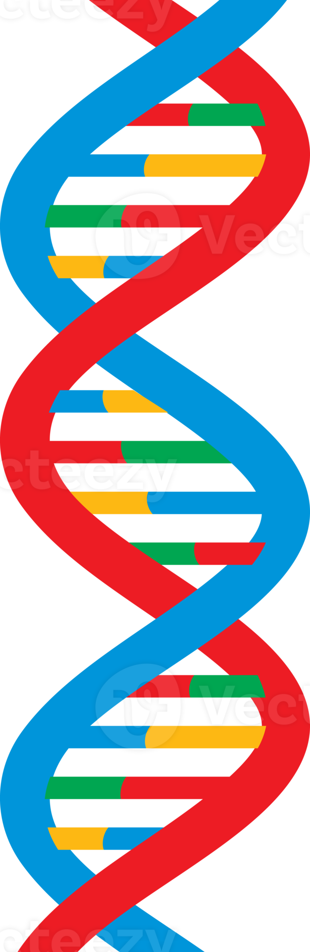 DNA strand png illustration 8505799 PNG