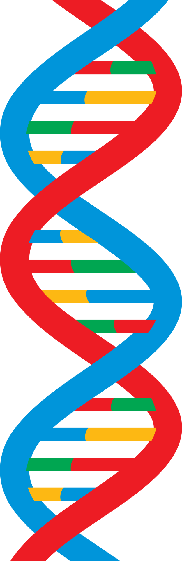 DNA strand png illustration 8505799 PNG
