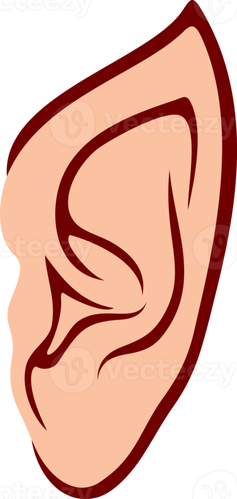 Elf ear png illustration