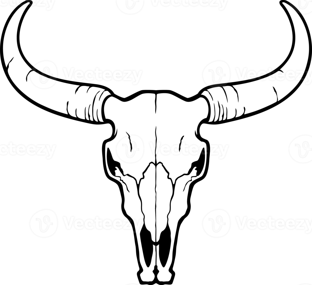 Bull skull black and white png illustration