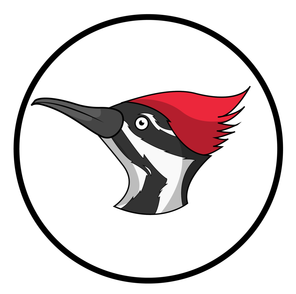 Spechtkopf-Cartoon-Charakter-Vogel-Symbol png