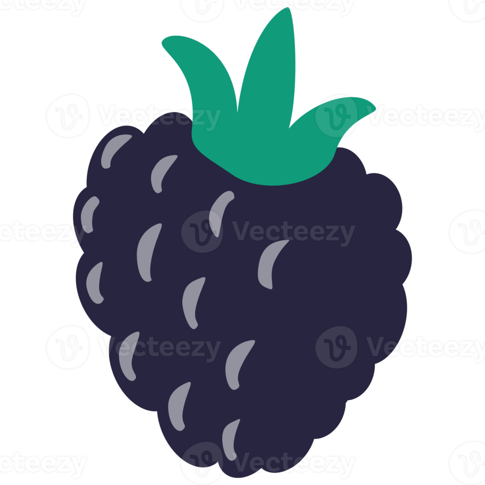 desenho de fruta amora png